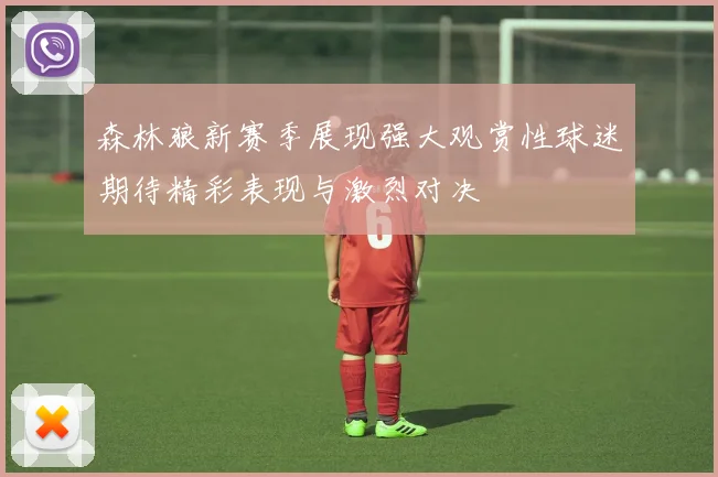 森林狼新赛季展现强大观赏性球迷期待精彩表现与激烈对决