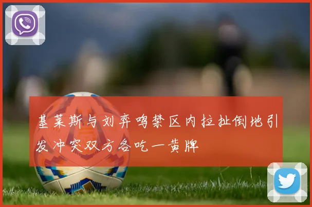 基莱斯与刘弈鸣禁区内拉扯倒地引发冲突双方各吃一黄牌