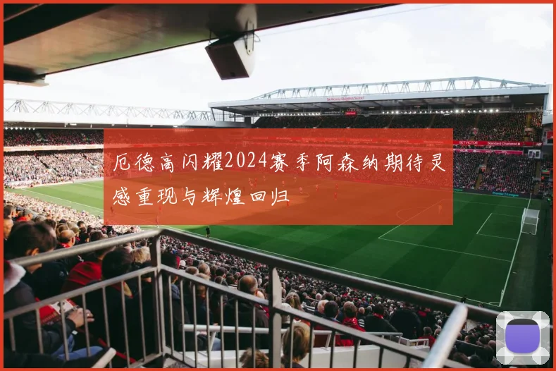 厄德高闪耀2024赛季阿森纳期待灵感重现与辉煌回归