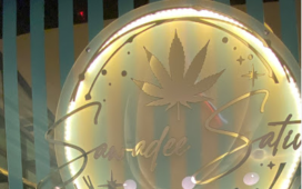 cannabis stores